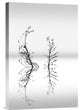 "Trees With Birds (2)" Stretched Canvas Giclee by George Digalakis, 12x18"