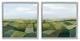 Rolling Hill Farm Crop Landscape Patchwork Grass Fields,24 x 24