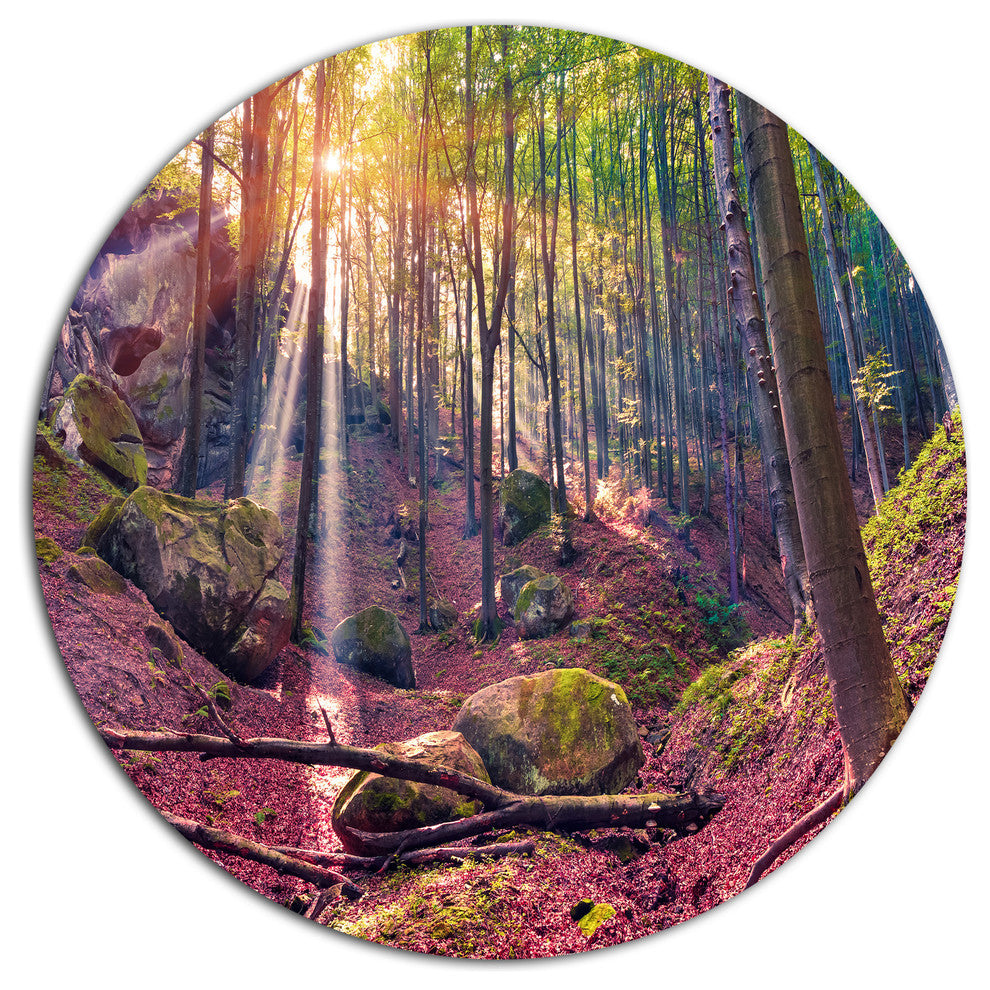 Autumn Morning In Mystical Woods, Landscape Art Disc Metal Artwork, 23"