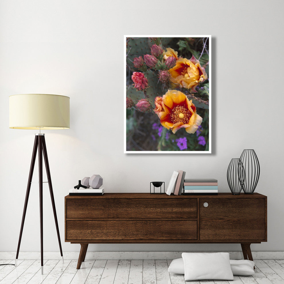 "Opuntia in bloom, North America" Digital Paper Print by Tim Fitzharris, 38"x50"
