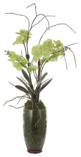 Uttermost 60199 Valdive Orchid