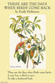 These are the Day When Birds Come Back- Gallery Wrapped Canvas Art 28" x 42"