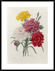 "Carnations" Framed Digital Print by Pierre Joseph Redoute, 29x38"