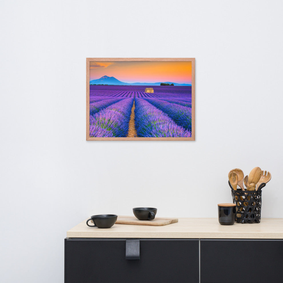 Blooming Lavender Field and Sunset Floral Landscape Framed Photo Wall Art Prints, Red Oak, 18" X 24"