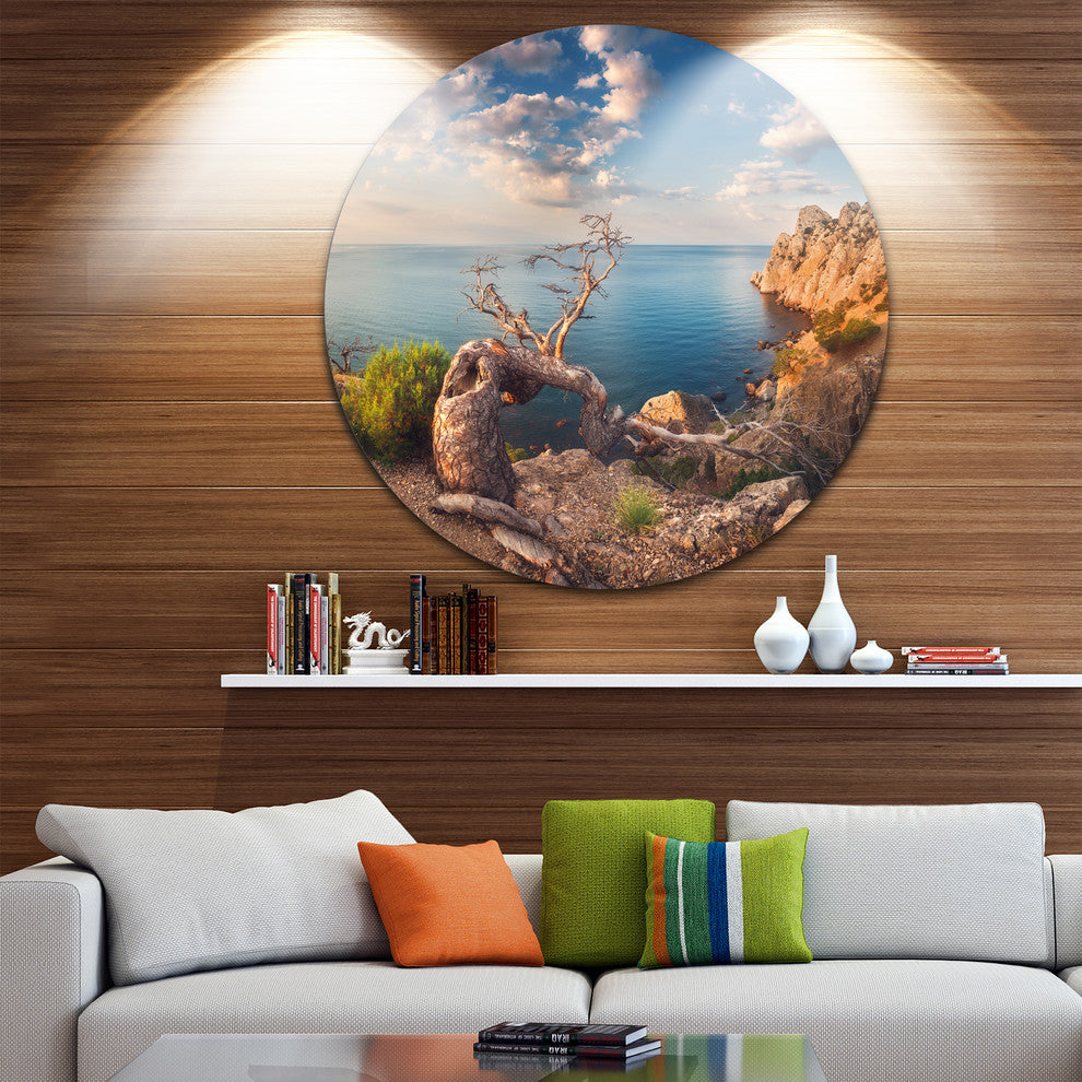 Sunny Morning With Old Tree, Seashore Photo Disc Metal Artwork, 23"