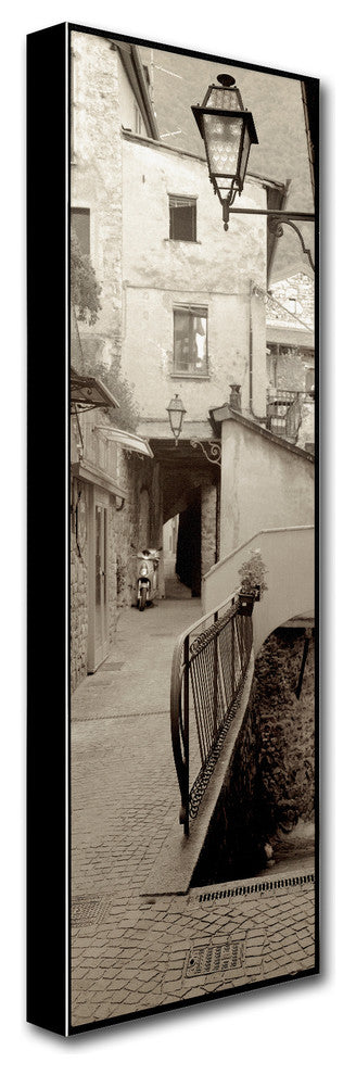 Alan Blaustein 'Lombardy III' Canvas Art, 16x47