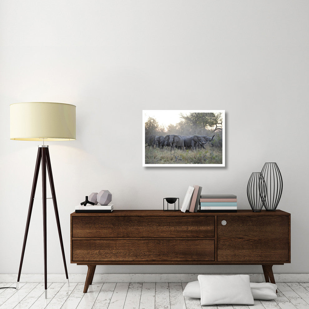 "African Elephant upset herd gathering, Okavango Delta" Paper Art, 32"x22"