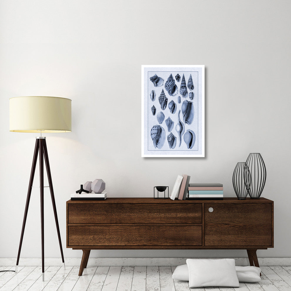"Shells: Trachelipoda #6 (Blue)" Digital Paper Print by G.B. Sowerby, 26"x38"