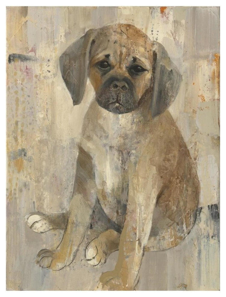 "Paco" Digital Paper Print by Albena Hristova, 20"x26"