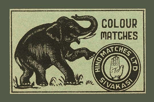 Elephant Colour Matches- Fine Art Giclee Print 24" x 36"