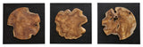 Uttermost 04336 Kolini Teak Wood Wall Decor 3-Piece Set