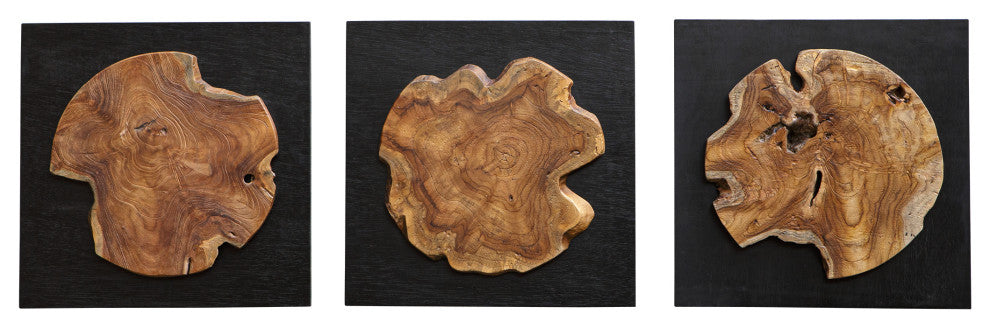 Uttermost 04336 Kolini Teak Wood Wall Decor 3-Piece Set