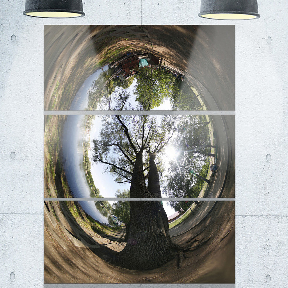 "Ufa Little Planet Panorama" Tree Photography Metal Wall Art, 3 Panels, 28"x36"