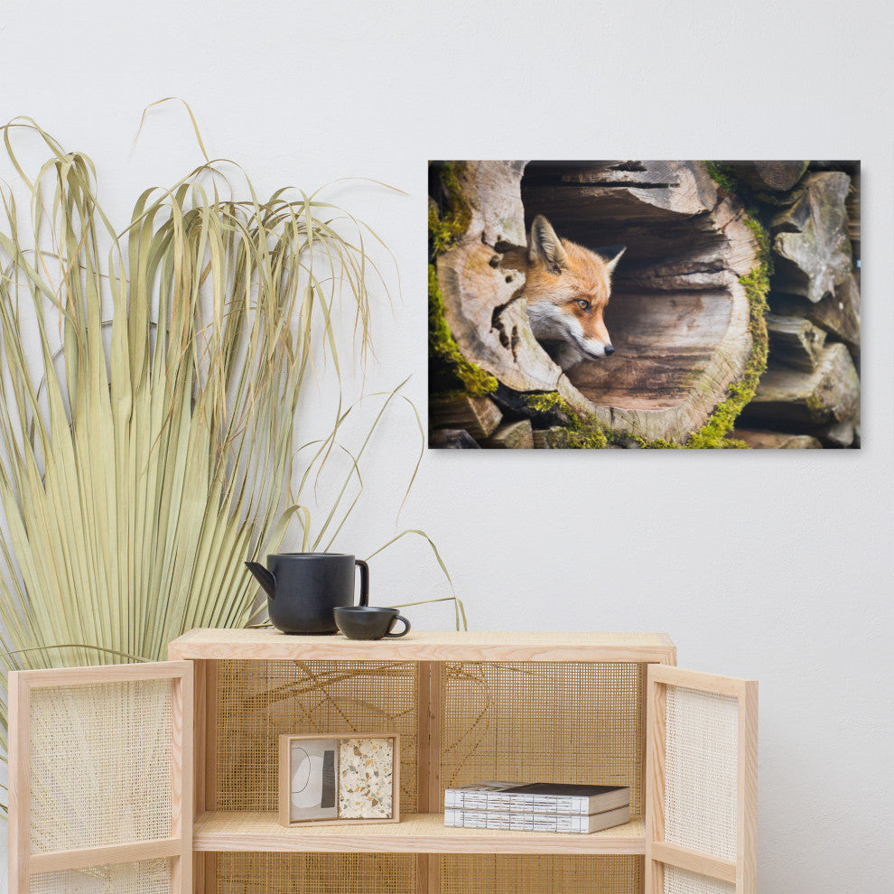 Young Red Fox Face In Mossy Stump Animal Wildlife Photo Canvas Wall Art Prints, 24" X 36"