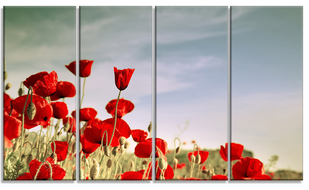Flourishing Red Poppies, Floral Canvas Art Print, 48"x28", 4 Panels