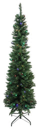 Northern Balsam Fir Christmas Tree, Multi LED Lights