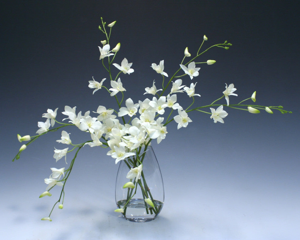 WaterlookÂ® White Dendrobium Orchid in Angled Glass Vase