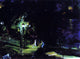 George Wesley Bellows Summer Night Riverside Drive Wall Decal