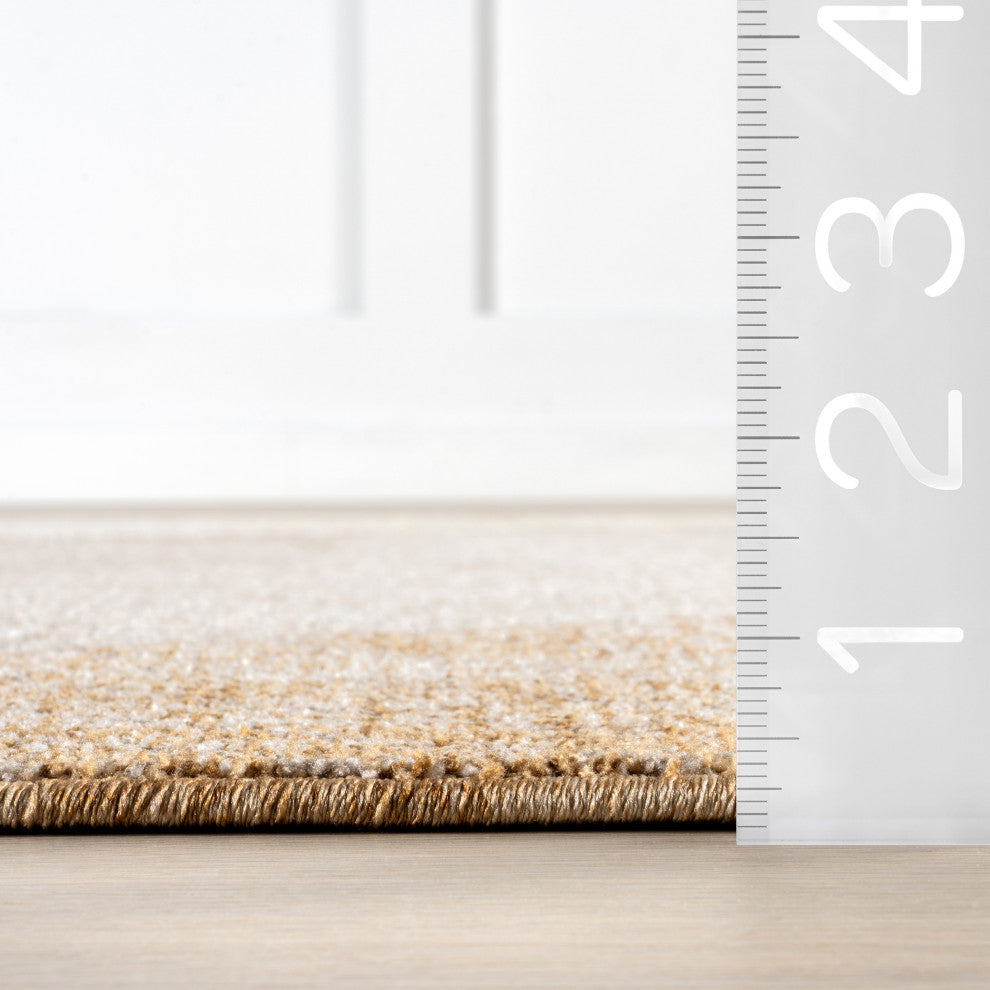 Faela Abstract Fringe Area Rug, Multicolor 4'x6'