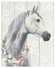 "Spirit Stallion I on Wood" Digital Paper Print by James Wiens, 22"x26"