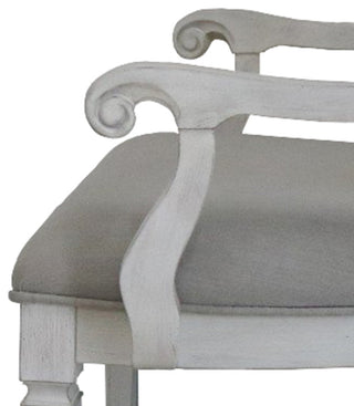 ACME Katia Arm Chair, Set of 2