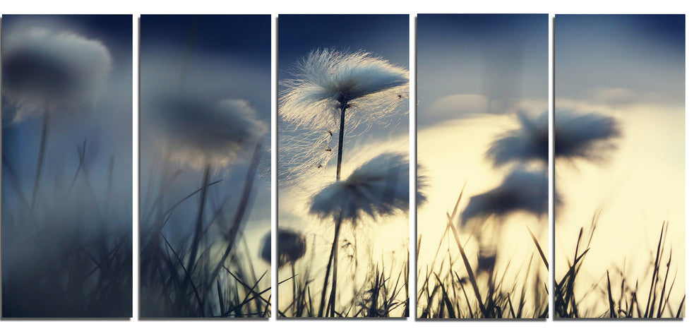 Arctic Blooming Cotton Flowers, Large Flower Canvas Wall Art, 60"x28", 5 Panels