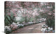 "Azalea Walk" Stretched Canvas Giclee by Diane Romanello, 24"x16"