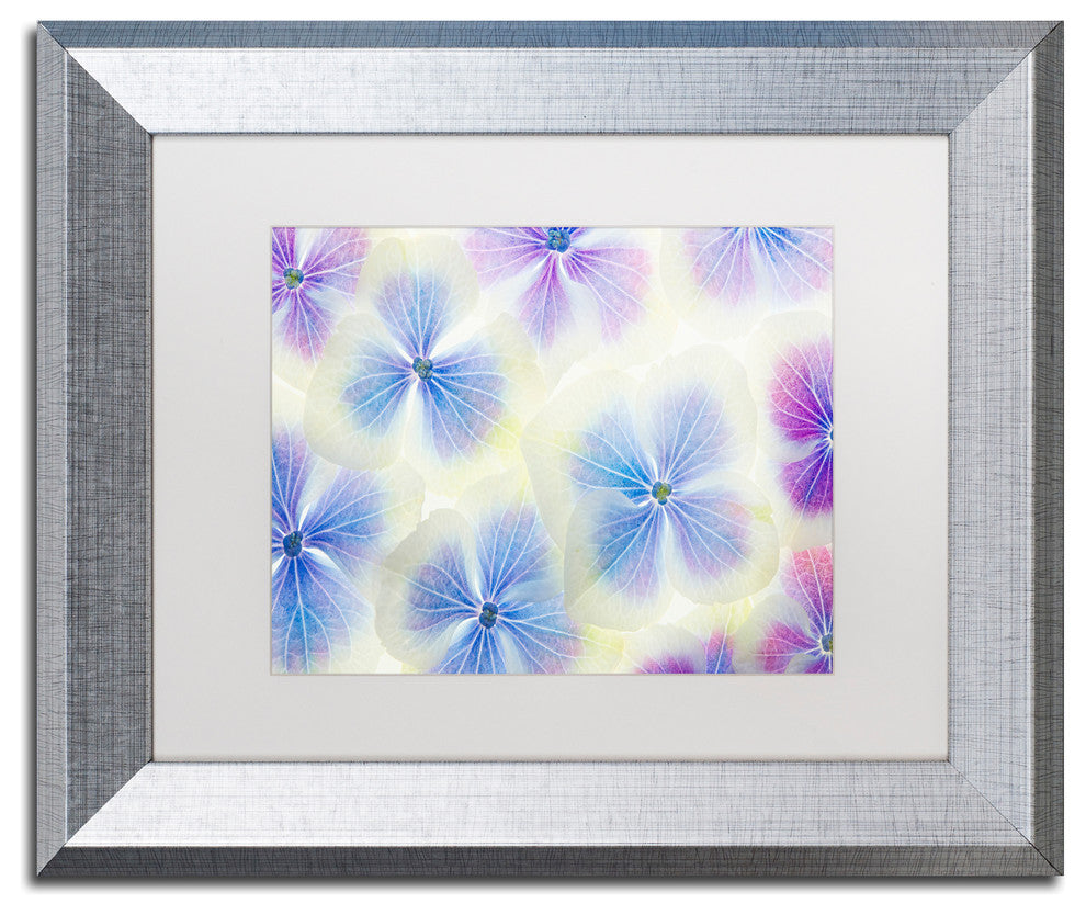 Cora Niele 'Blue and White Hydrangea Flowers' Matted Framed Art