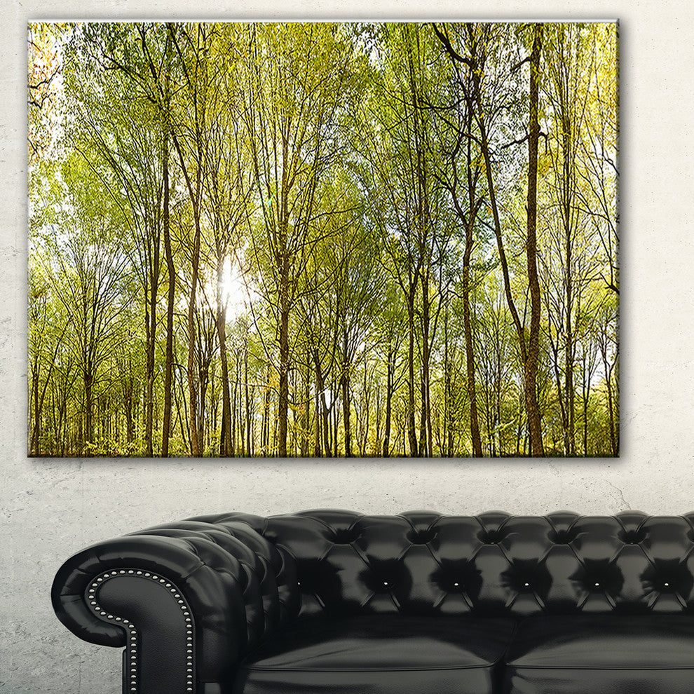 "Green Forest Panoramic View" Canvas Print