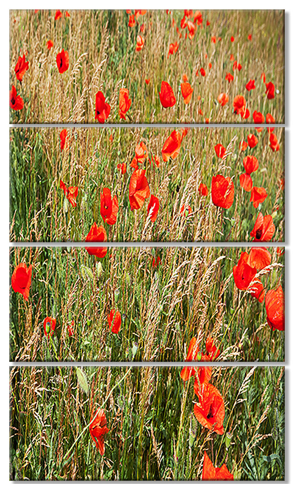 Red Poppy Field with Full of Flowers, Flower Canvas Print, 28"x48", 4 Panels