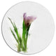 Green Purple Watercolor Flower Sketch, Floral Round Wall Art, 11"