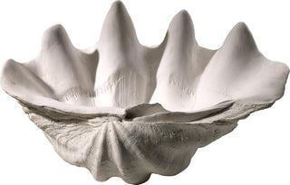 Clam Shell Bowl