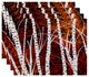 Birch Trees Floral Print Placemat, Set of 4, Black