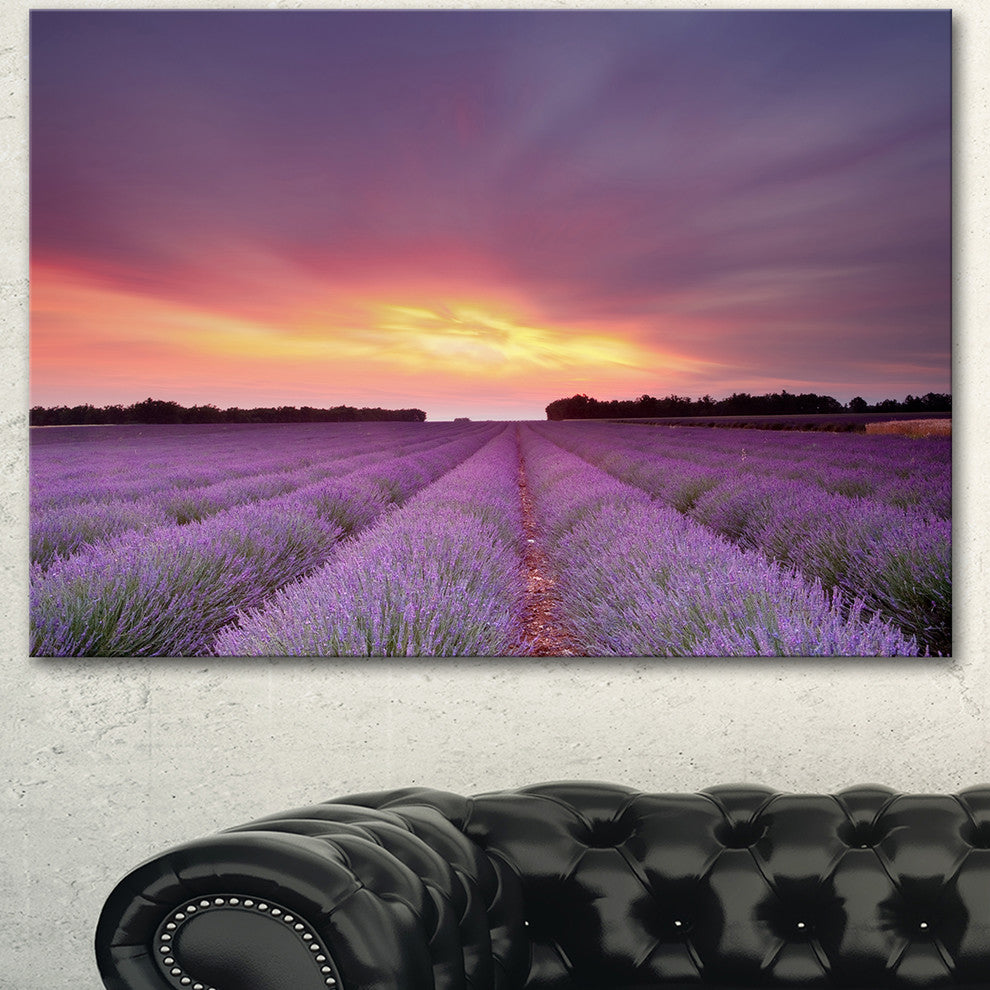 Beautiful Sunset over Lavender Rows, Landscape Canvas Wall Art, 40"x30"