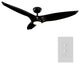 Morpheus III 60" Indoor/Outdoor Smart Ceiling Fan, Gloss Black, 3000K Light Kit