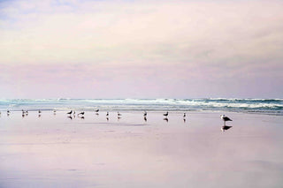 "Pastel Light" Print on Canvas by Sylvia Cook