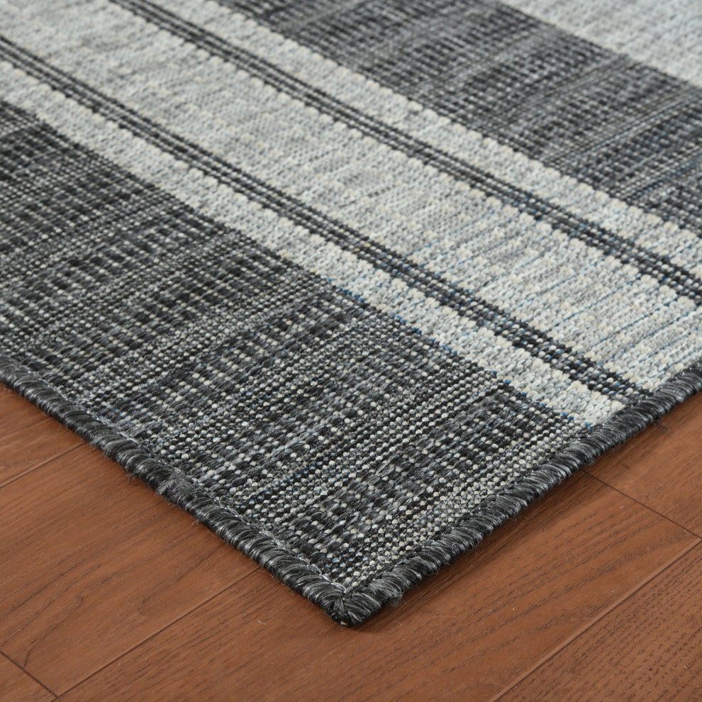 Maryland Blessy Indoor/Outdoor Area Rug, Gray, 4' x 6', Striped