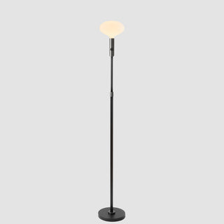 Graphite Floor Lamp With Oval II