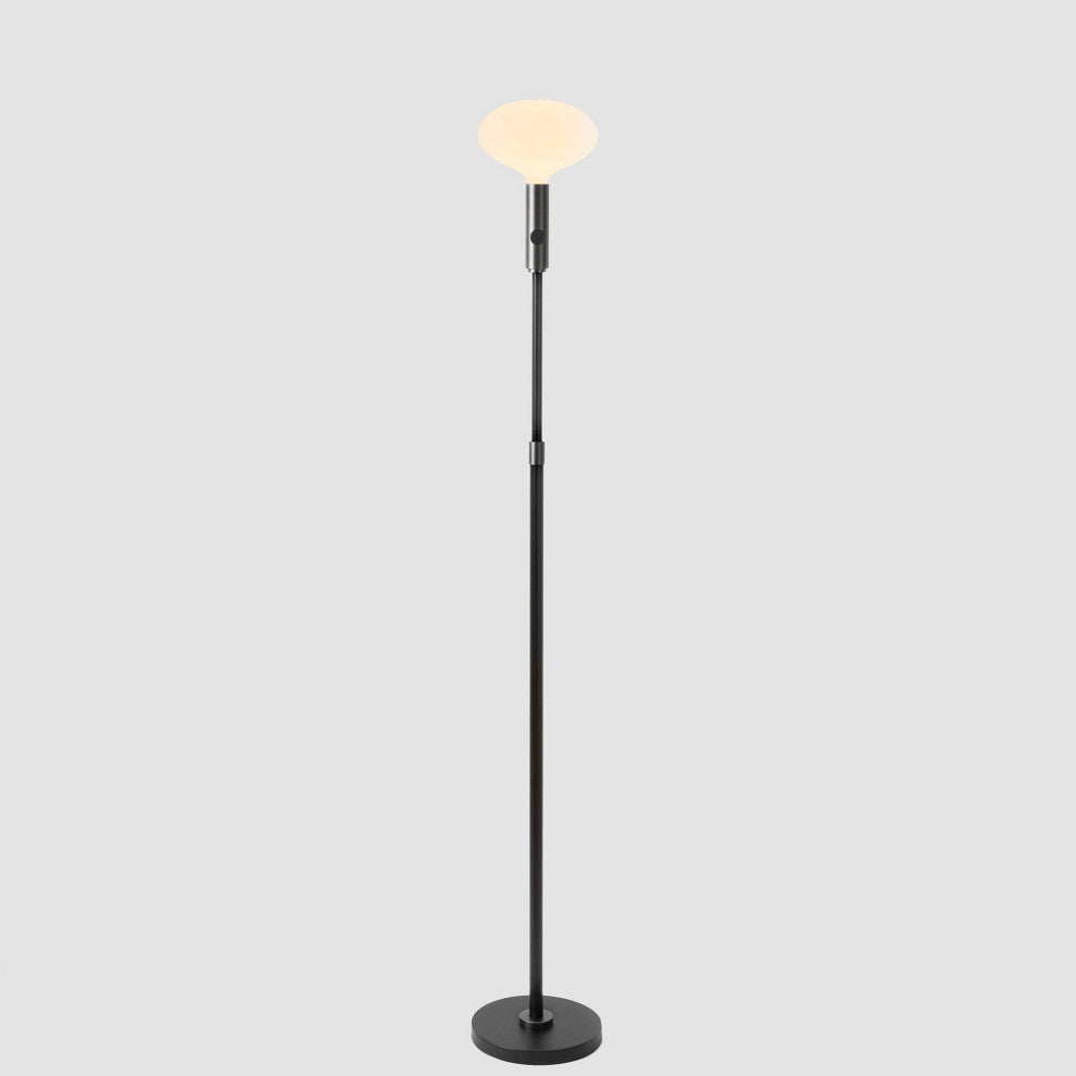 Graphite Floor Lamp With Oval II