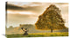 "Untitled" Stretched Canvas Giclee by Tudor Amot, 30x17"