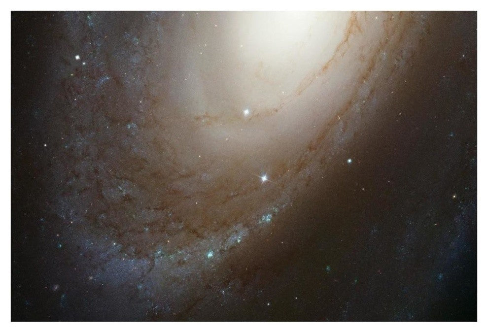 "HST ACS Image of M81" Digital Paper Print by NASA, 38"x26"
