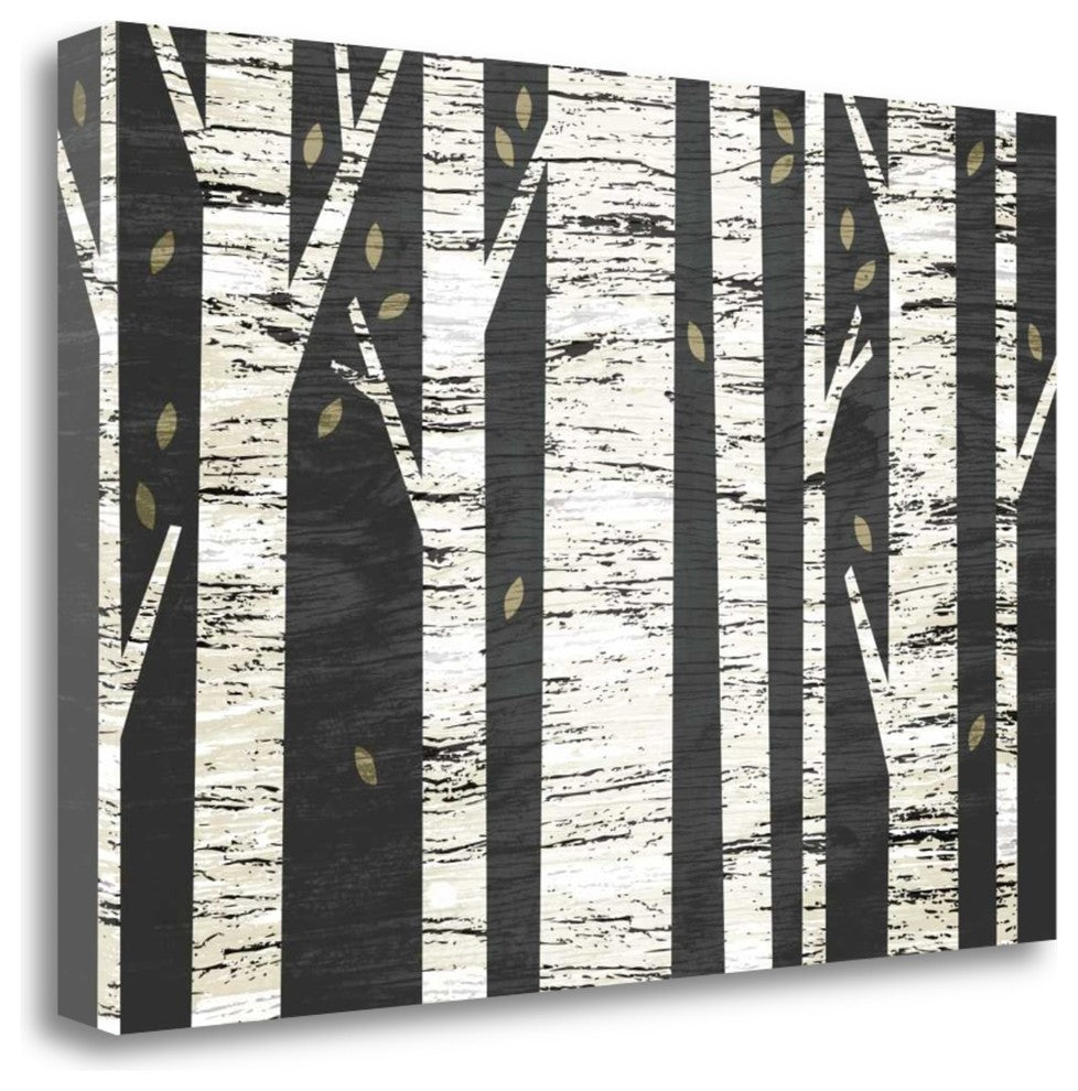 "Birch Forest" By Michael Mullan, Giclee Print on Gallery Wrap Canvas