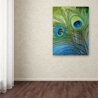 Color Bakery 'Peacock Candy I' Canvas Art, 24"x32"
