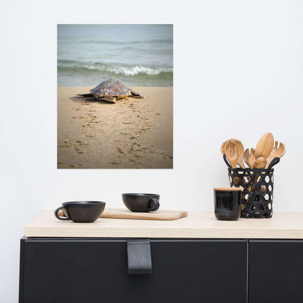 Baby Loggerhead Sea Turtle Beach Ocean Photograph Loose Wall Art Print, 16" X 20"