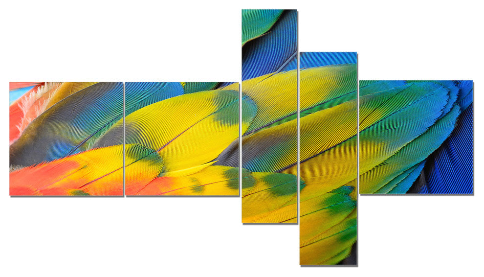 Scarlet Macaw Feathers, Photography Canvas Art Print, 60"x32", 5 panels