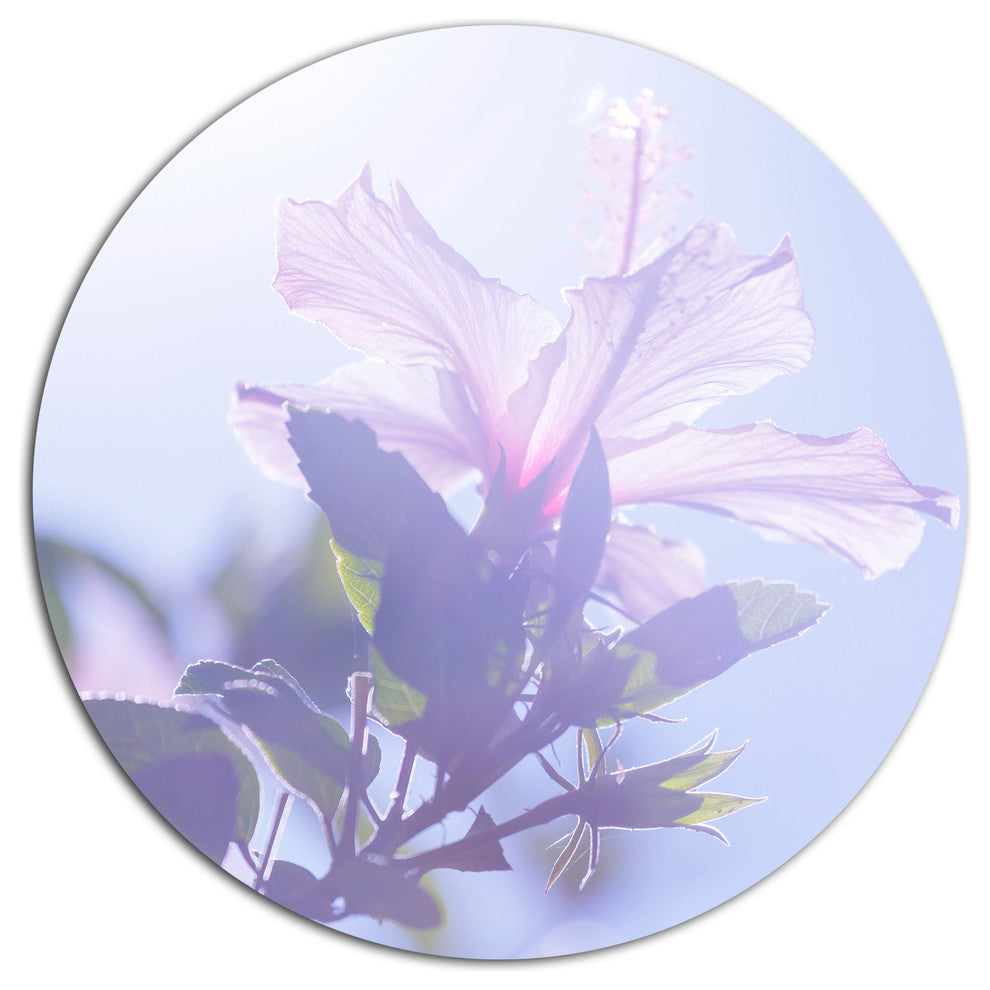 Pink Hibiscus Flower In Hawaii, Flower Round Metal Wall Art, 36"