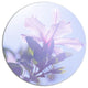 Pink Hibiscus Flower In Hawaii, Flower Round Metal Wall Art, 36"