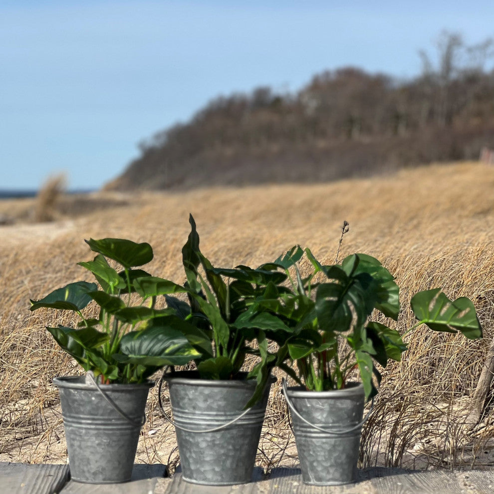 Grey Zinc Pail Planters, Set of 3