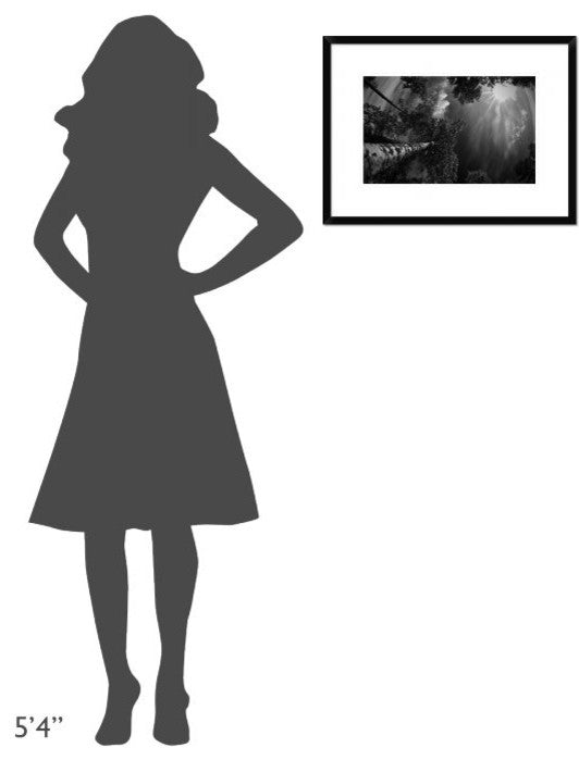 "Dreaming Before The Thunder" Framed Digital Print by Mikael Jigmo, 24"x18"