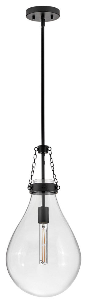 Hinkley Eloise 22.25" Small Pendant Light, Black + Clear Glass